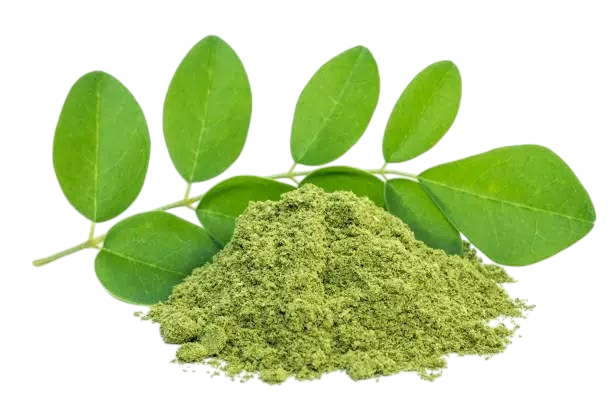 Moringa Powder